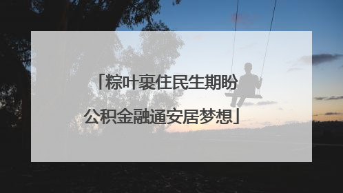 粽叶裹住民生期盼 公积金融通安居梦想