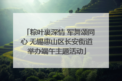 粽叶裹深情 军舞颂同心 无锡惠山区长安街道举办端午主题活动