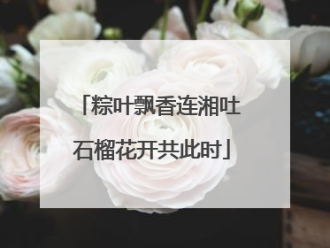 粽叶飘香连湘吐 石榴花开共此时