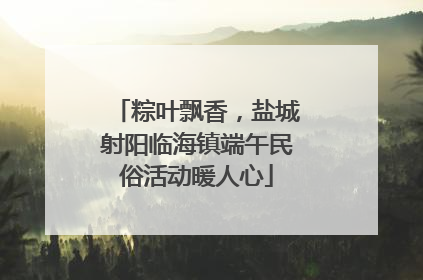 粽叶飘香，盐城射阳临海镇端午民俗活动暖人心