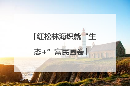 红松林海织就“生态+”富民画卷