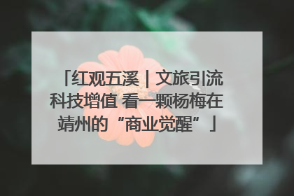 红观五溪｜文旅引流 科技增值 看一颗杨梅在靖州的“商业觉醒”