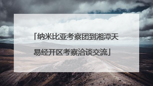 纳米比亚考察团到湘潭天易经开区考察洽谈交流