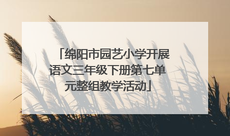 绵阳市园艺小学开展语文三年级下册第七单元整组教学活动