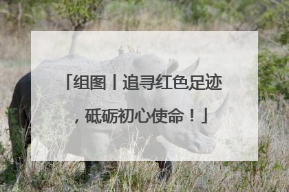 组图丨追寻红色足迹，砥砺初心使命！