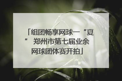组团畅享网球一“夏” 郑州市第七届业余网球团体赛开拍