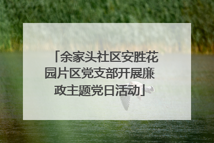 余家头社区安胜花园片区党支部开展廉政主题党日活动