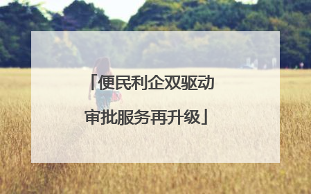 便民利企双驱动 审批服务再升级
