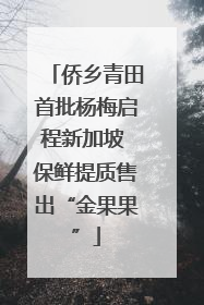 侨乡青田首批杨梅启程新加坡 保鲜提质售出“金果果”