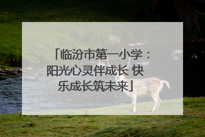 临汾市第一小学：阳光心灵伴成长 快乐成长筑未来