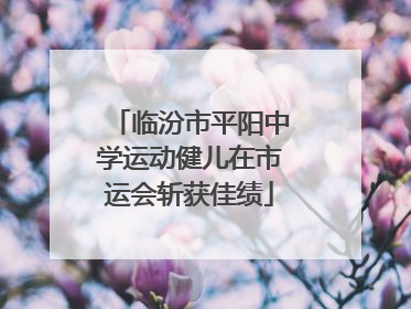 临汾市平阳中学运动健儿在市运会斩获佳绩