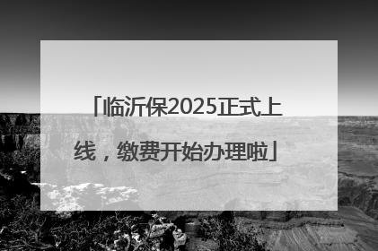 临沂保2025正式上线，缴费开始办理啦