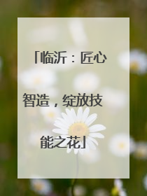 临沂：匠心智造，绽放技能之花