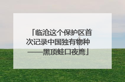 临沧这个保护区首次记录中国独有物种——黑顶蛙口夜鹰