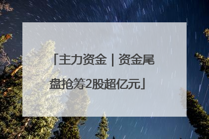 主力资金｜资金尾盘抢筹2股超亿元