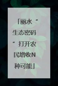 丽水“生态密码”打开农民增收N种可能