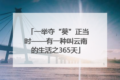 一举夺“葵”正当时——有一种叫云南的生活之365天