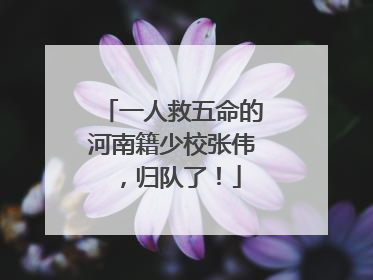 一人救五命的河南籍少校张伟，归队了！