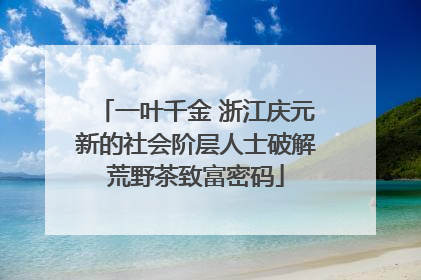 一叶千金 浙江庆元新的社会阶层人士破解荒野茶致富密码