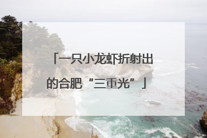 一只小龙虾折射出的合肥“三重光”