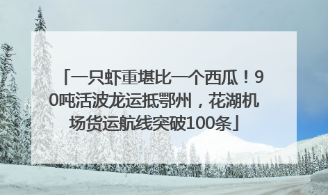 一只虾重堪比一个西瓜！90吨活波龙运抵鄂州，花湖机场货运航线突破100条