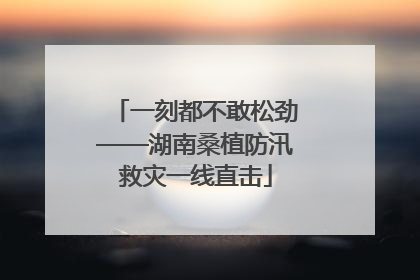 一刻都不敢松劲——湖南桑植防汛救灾一线直击