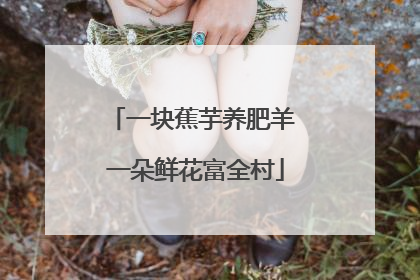 一块蕉芋养肥羊 一朵鲜花富全村
