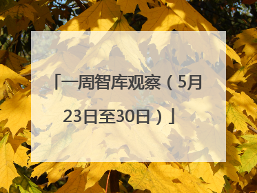 一周智库观察（5月23日至30日）