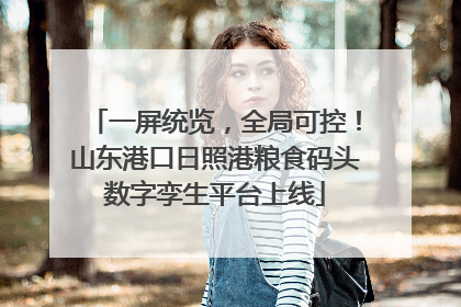 一屏统览，全局可控！山东港口日照港粮食码头数字孪生平台上线