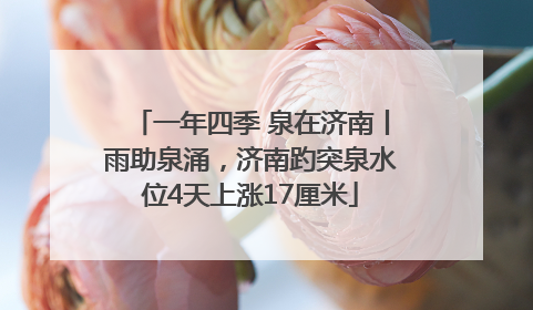 一年四季 泉在济南丨雨助泉涌，济南趵突泉水位4天上涨17厘米