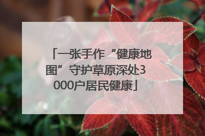 一张手作“健康地图”守护草原深处3000户居民健康