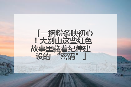 一捆粉条映初心！大别山这些红色故事里藏着纪律建设的 “密码”