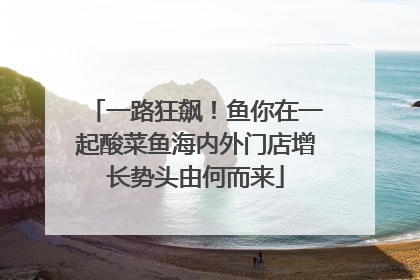 一路狂飙！鱼你在一起酸菜鱼海内外门店增长势头由何而来