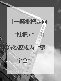 一颗枇杷走向“枇杷+” 山海资源成为“聚宝盆”