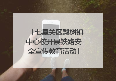 七星关区梨树镇中心校开展铁路安全宣传教育活动