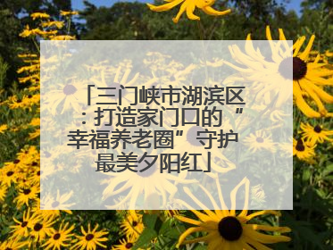 三门峡市湖滨区：打造家门口的“幸福养老圈”守护最美夕阳红