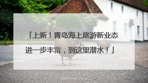 上新！青岛海上旅游新业态进一步丰富，到这里潜水！