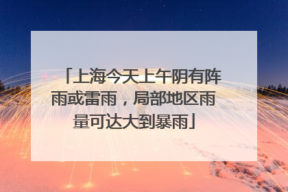 上海今天上午阴有阵雨或雷雨，局部地区雨量可达大到暴雨