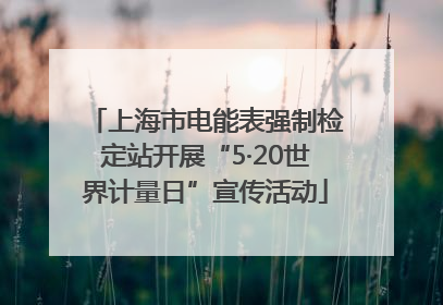 上海市电能表强制检定站开展“5·20世界计量日”宣传活动