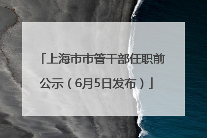 上海市市管干部任职前公示（6月5日发布）