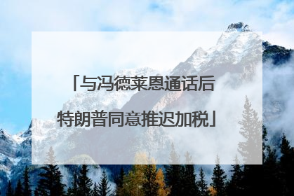 与冯德莱恩通话后 特朗普同意推迟加税