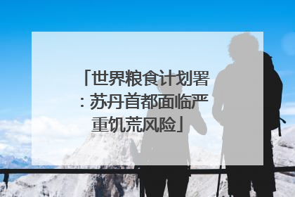 世界粮食计划署：苏丹首都面临严重饥荒风险