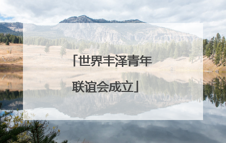 世界丰泽青年联谊会成立