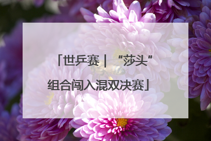 世乒赛｜“莎头”组合闯入混双决赛