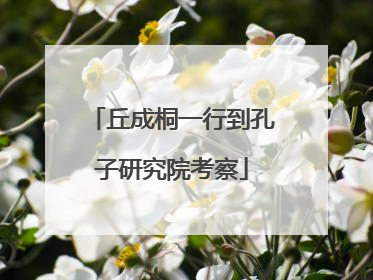 丘成桐一行到孔子研究院考察