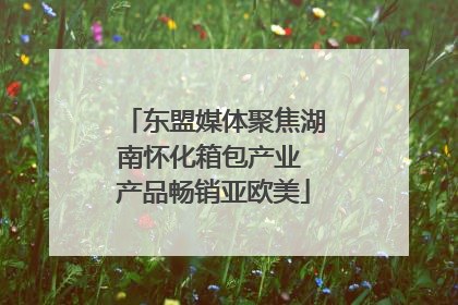 东盟媒体聚焦湖南怀化箱包产业 产品畅销亚欧美
