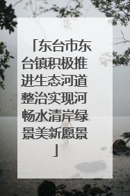 东台市东台镇积极推进生态河道整治实现河畅水清岸绿景美新愿景