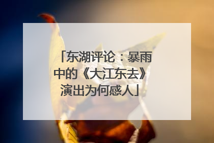 东湖评论：暴雨中的《大江东去》演出为何感人