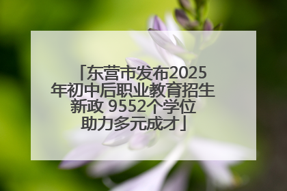 东营市发布2025年初中后职业教育招生新政 9552个学位助力多元成才