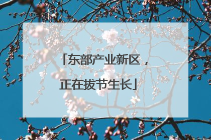 东部产业新区，正在拔节生长